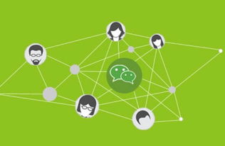 移動互聯(lián)網(wǎng)時代 營銷推廣與互聯(lián)網(wǎng)銷售的雙重挑戰(zhàn)與應(yīng)對策略